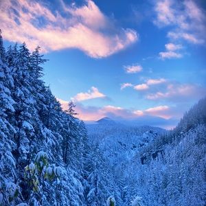 Meet your Posher, Brandess